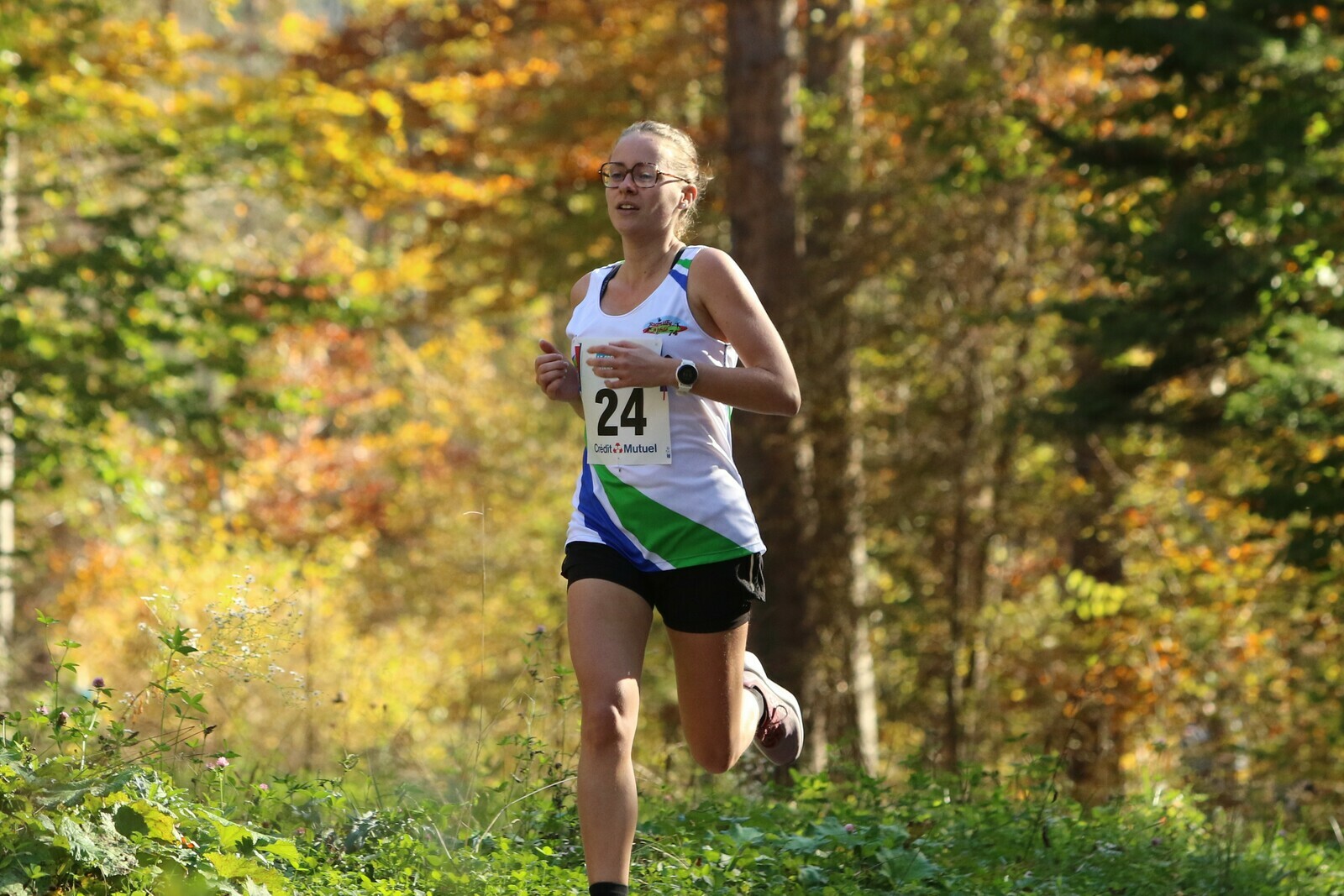 Championnat des Alpes de cross